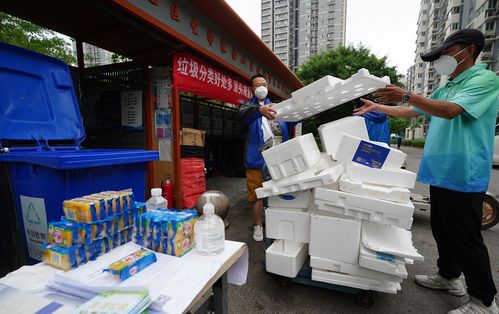 北京太阳宫地区开展白色泡沫废弃物专项回收,引导低值再生资源回收